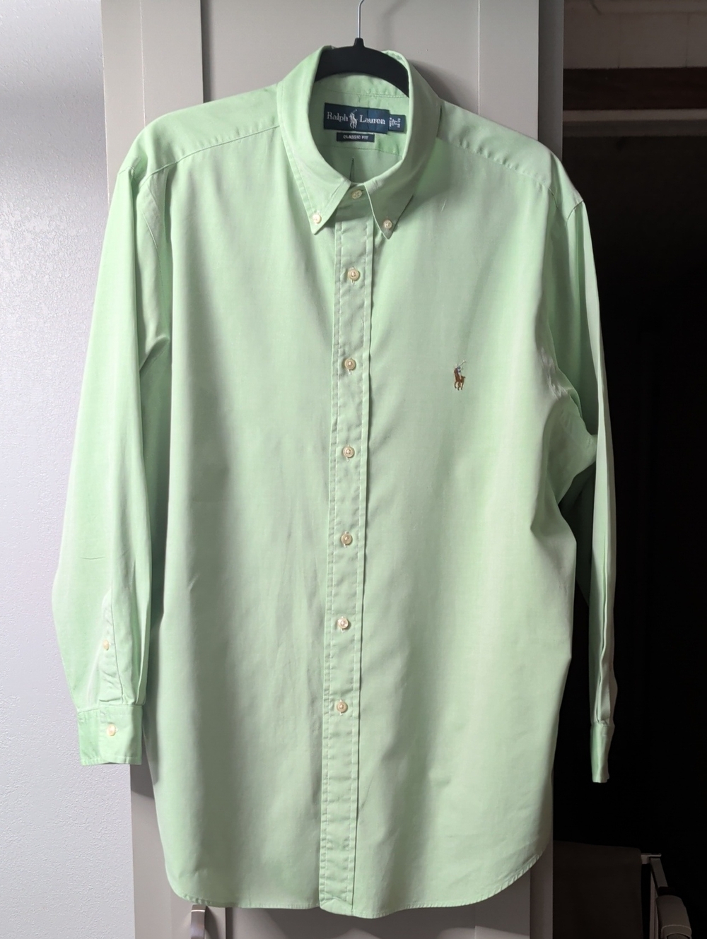 Polo by Ralph Lauren Light Green Button-Down Shirt